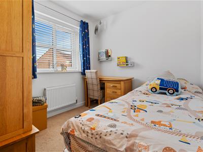 Picture 24